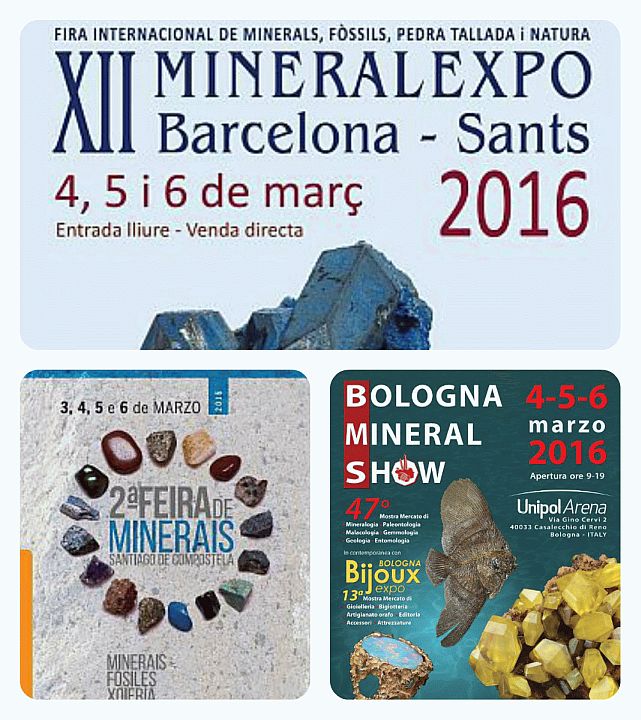 Minerals Shows 4-6 de març del 2016 